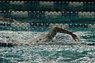 Swimming vs Babson  Wheaton College Swimming vs Babson College. - Photo By: KEITH NORDSTROM : Wheaton, Swimming, Babson